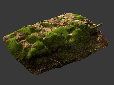 Stone And Wood Natural Surface With Green Moss Texture For Outdoor Use 3d model