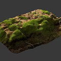 Stone And Wood Natural Surface With Green Moss Texture For Outdoor Use