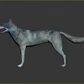 Realistic 3D Reptile Model With Gray Skin Open Mouth Standing On Black Background