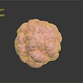 Pink Human Organ With Hairy Surface And Textured Structure On Dark Background