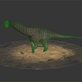 Long Necked Sauropod Dinosaur Standing On Sandy Ground With Realistic Texture