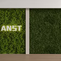 Indoor Decorative Green Plant Wall with Two Panels and ANST Lettering