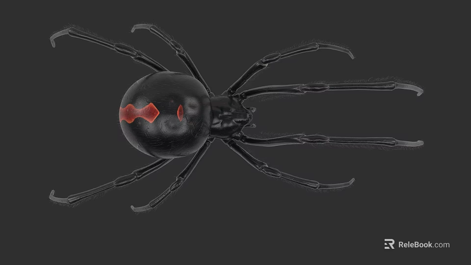 Black Reptile With Red Abdominal Markings In Close Up View On Dark Background 3d model 