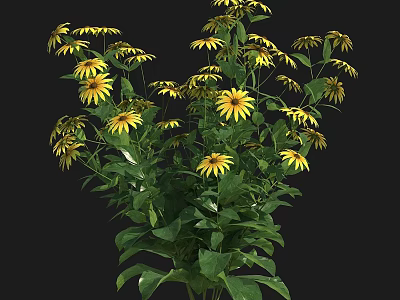 Vibrant Yellow Flowers And Lush Green Leaves In Fresh Natural Bloom 3d model