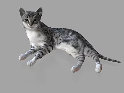 Detailed Cat Sculpture In Lying Down Pose With Gray And White Fur 3d model