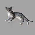 Detailed Cat Sculpture In Lying Down Pose With Gray And White Fur