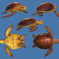 Modern Turtle Turtle 3d model