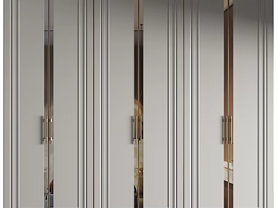 Modern Wardrobe Interior Design With Mirror Doors And Metal Handles Storage 3d model