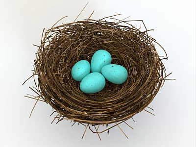 Natural Bird Nest With Four Turquoise Eggs On White Background 3d model