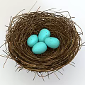 Natural Bird Nest With Four Turquoise Eggs On White Background 3d model