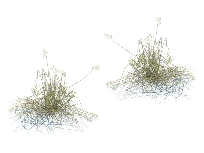 Herbaceous Plants with Blue Line Net-like Structure Two Clumps Growing in Natural Arrangement 3d model