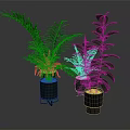 Various Green Indoor Plants In Modern Gray Pots For Home Decoration