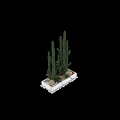Indoor Decorative Tall Cactus Bonsai Potted Plants With Small Greenery And Stones