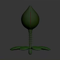Cute Cartoon Style Green Plant With Unopened Bud And Leaf Structure Design
