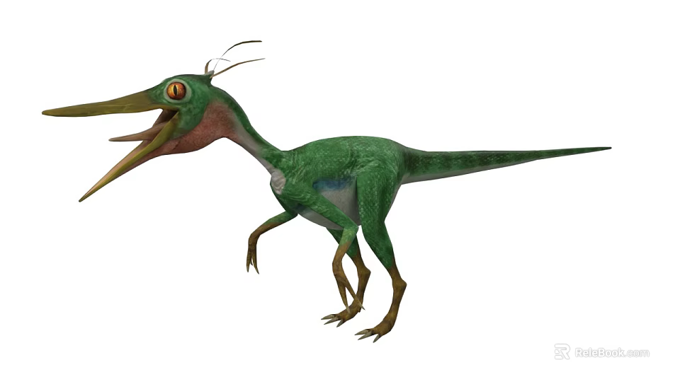 Green Feathered Dinosaur With Long Beak And Large Eyes Standing Pose 3d model 
