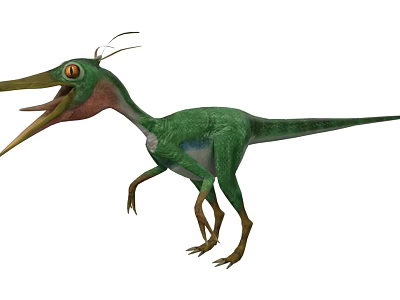 Green Feathered Dinosaur With Long Beak And Large Eyes Standing Pose 3d model