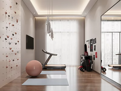Modern Home Gym Interior With Climbing Wall Treadmill Yoga Ball Mat And Large Mirror 3d model
