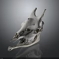 White Horned Animal Skull Bone Organ And Fur Associated Mammal Features