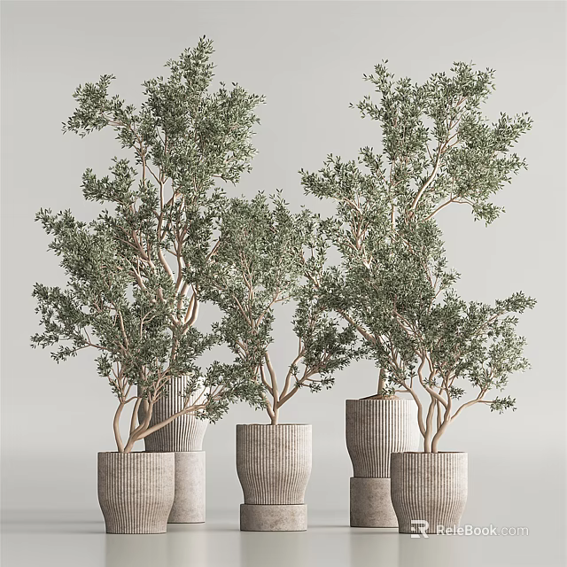 Elegant Bonsai Trees in Textured Ceramic Pots with Lush Green Foliage 3d model 