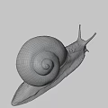 Close Up View Of Garden Snail With Brown Spiral Shell And Light Colored Textured Body