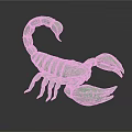 Detailed Green Scorpion Model Isolated on Black Background with Glossy Surface