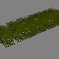 Well Trimmed Long Green Shrub Hedge With Dense Foliage And Neat Shape