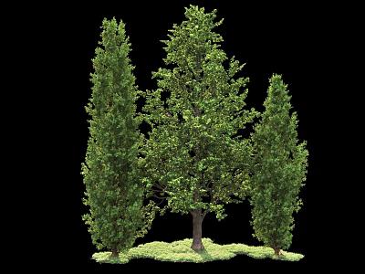 Main Arbor With Lush Foliage Flanked By Two Cypress Trees On Green Grassy Base 3d model
