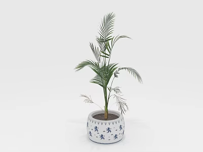Elegant Indoor Palm Plant in Blue and White Decorative Pot 3d model