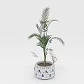 Elegant Indoor Palm Plant in Blue and White Decorative Pot