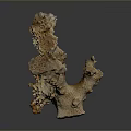 Natural Orange Beige Branched Coral Structure As Marine Aquatic Animals Habitat