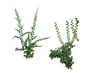 green plant leaves 3d model