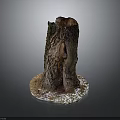 Natural Tree Stump With Rough Bark Texture And Snowy Base