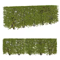 Different Types of Green Shrubs and Neat Hedges for Garden Landscaping