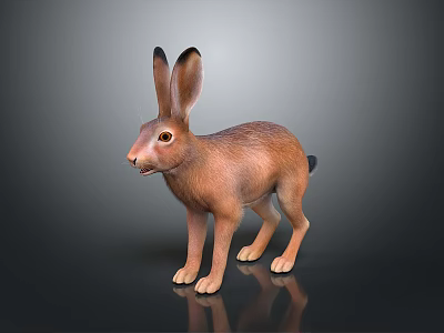 Realistic Brown Hare With Long Ears Standing On Dark Reflective Surface 3d model