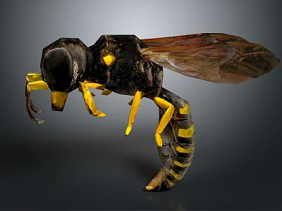 Detailed 3D Wasp Model With Black And Yellow Stripes And Transparent Wings 3d model
