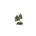 Decorative Tree Pit With Lush Green Foliage And Natural Design Elements
