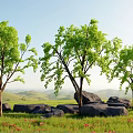 Natural Plant Combination With Green Leaf Trees Red Flowers Grass Stones Hills And Blue Sky
