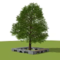 Stone Landscape Seat Surrounding Large Tree in Lush Green Lawn With People Relaxing