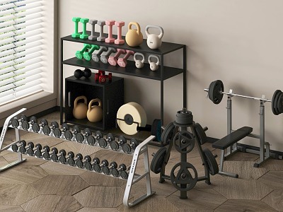 Fitness Equipment Barbell Dumbbell Kettlebell Fitness Equipment Storage Rack 3d model