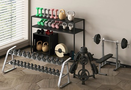 Fitness Equipment Barbell Dumbbell Kettlebell Fitness Equipment Storage Rack 3d model