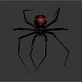 Black Spider With Red Circular Abdomen And Long Legs On Gray Background
