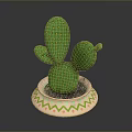 Green Cactus With Paddle Shaped Stems Yellow Dots In Decorative Pot With Colorful Geometric Patterns