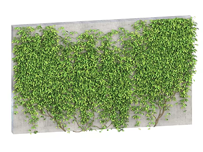 Climbing Green Vines Decorative Wall Covering With Lush Foliage And Natural Growth 3d model