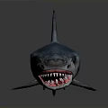 Realistic Shark Model With Sharp Teeth And Detailed Blue Skin Texture