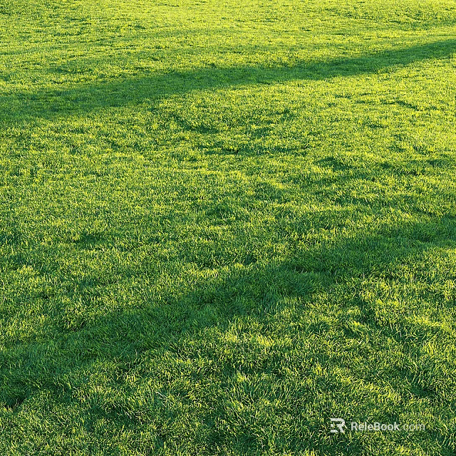 Lush Green Grass Under Sunlight Vibrant Fresh and Well Maintained Lawn Area 3d model 