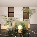 Indoor Plants In Transparent Cubes With Palm Plant And Succulents In Modern Interior Marble Floor
