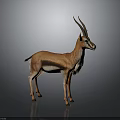 Realistic Gazelle With Long Horns And Brown White Coat Standing On Gray Surface