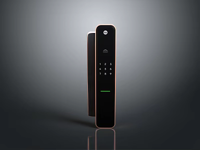 Smart Door Lock With Numeric Keypad Fingerprint Recognition And Modern Black Gold Finish Design 3d model