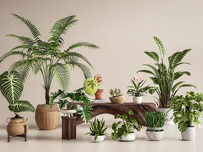 Various Leafy Potted Plants With Different Planters For Indoor Home Decor 3d model