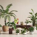 Various Leafy Potted Plants With Different Planters For Indoor Home Decor